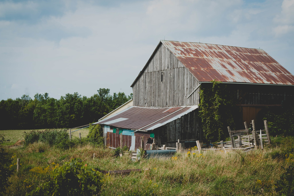 another old barn by tracymeurs