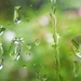DSCN3322 raindrops by marijbar
