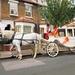 Horse and carriage by boxplayer
