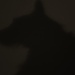 Guess whose silhouette this is ? by snowy