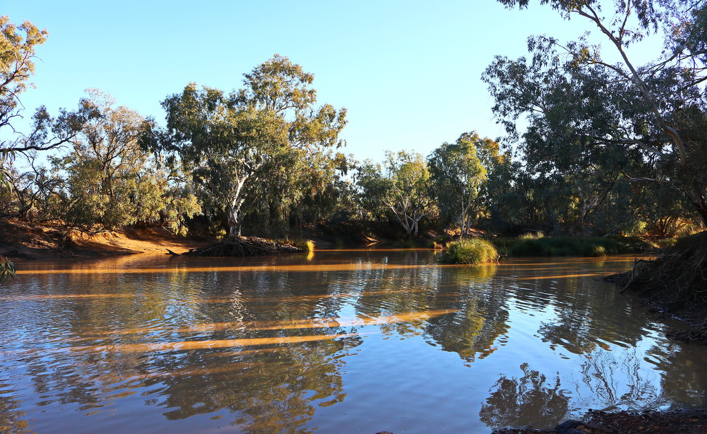 Late Afternoon on the Bulloo River by terryliv