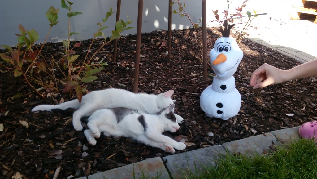 Olaf and kitties by jakr