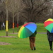 Brollies and scarves by gilbertwood