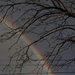 Day 12 | Rainbow by positive_energy