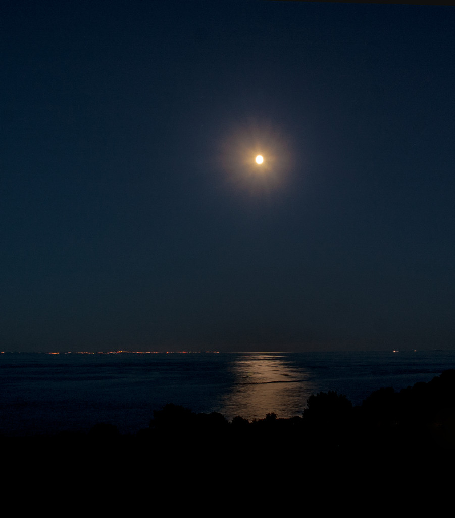 Moonlight over Folkestone  by fbailey
