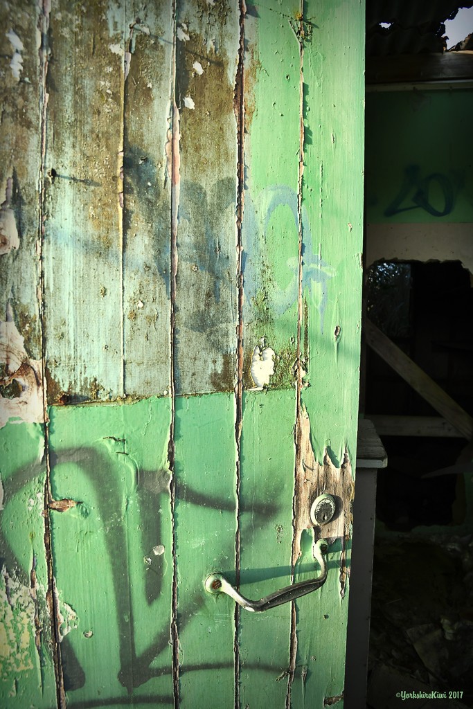 Green Door by yorkshirekiwi