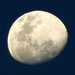 The moon 2 evenings ago.. by ludwigsdiana