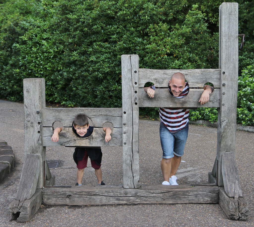 In the stocks.... by anne2013