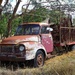 Rusty old Bedford by leggzy