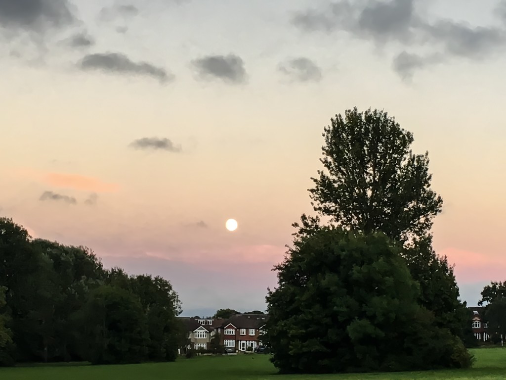 Moon over Cannon Hill Common by rumpelstiltskin