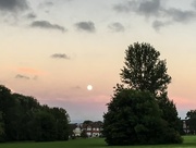 4th Sep 2017 - Moon over Cannon Hill Common