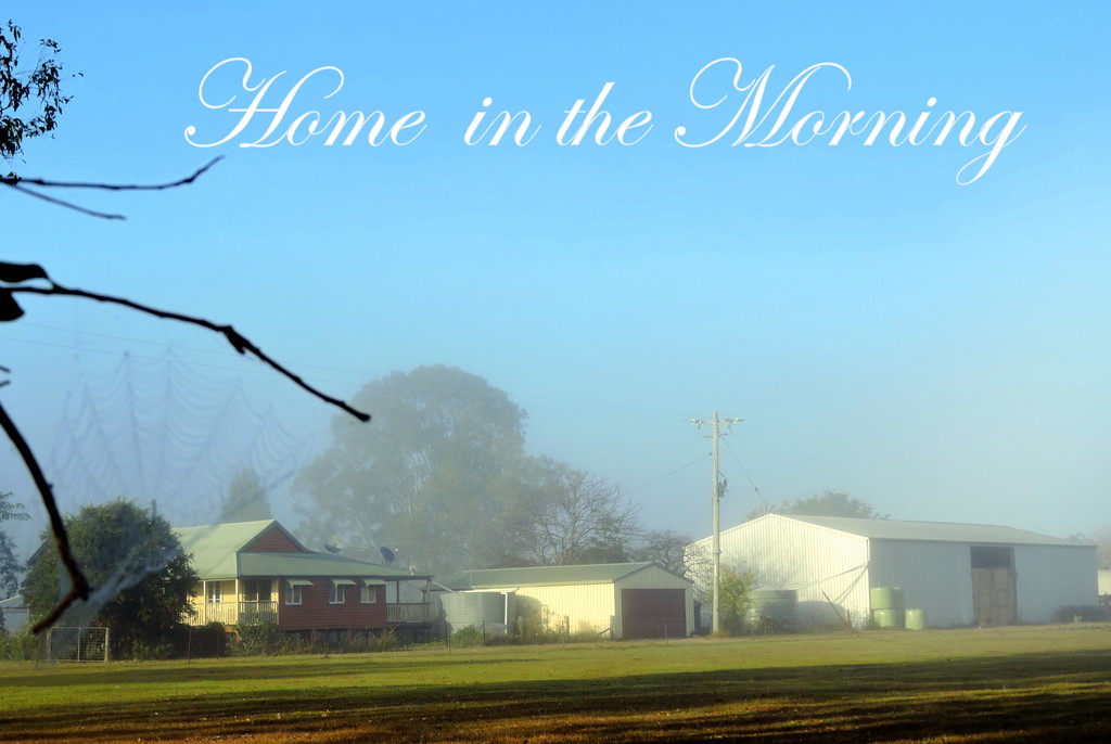 Home in the Morning by ubobohobo