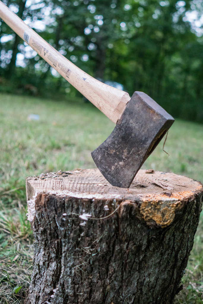 Axe for splitting Wood by rminer