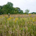 Prairie Field by rminer