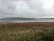5th Sep 2017 - Rainy day at Carsington Water