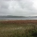 Rainy day at Carsington Water by 365projectmaxine