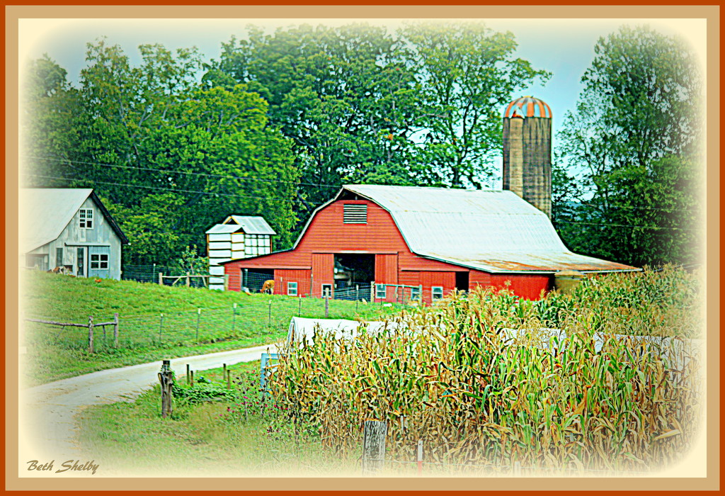 Amish Country Farm by vernabeth