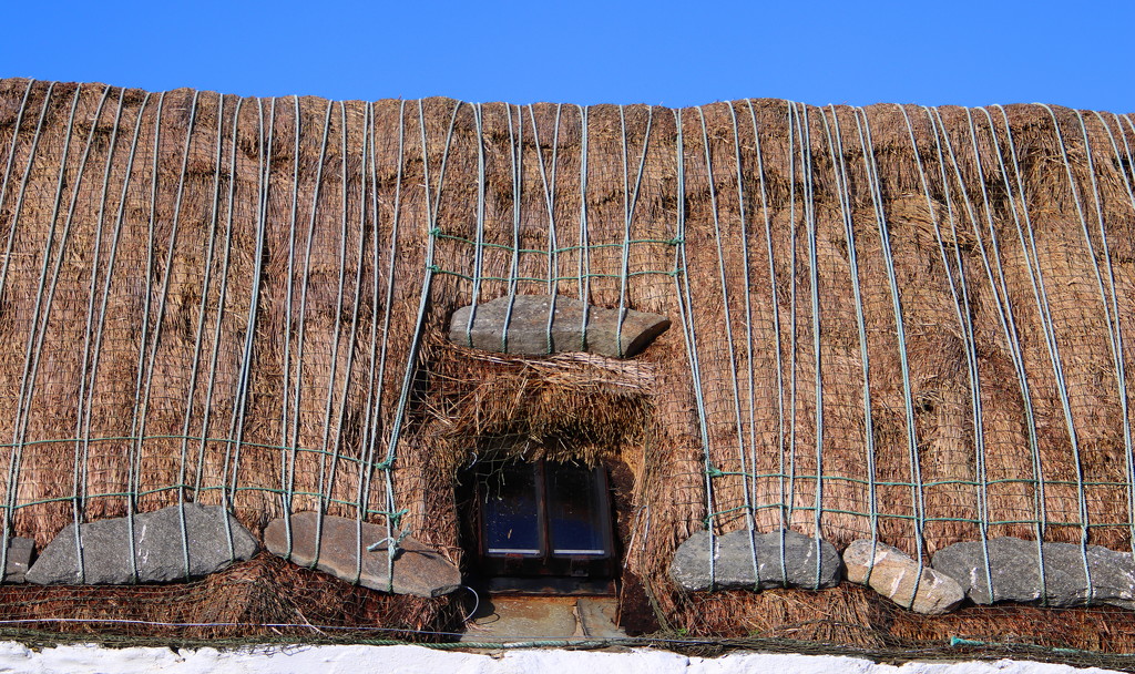 Thatched Roof by lifeat60degrees