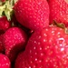 Strawberries  by 365projectdrewpdavies