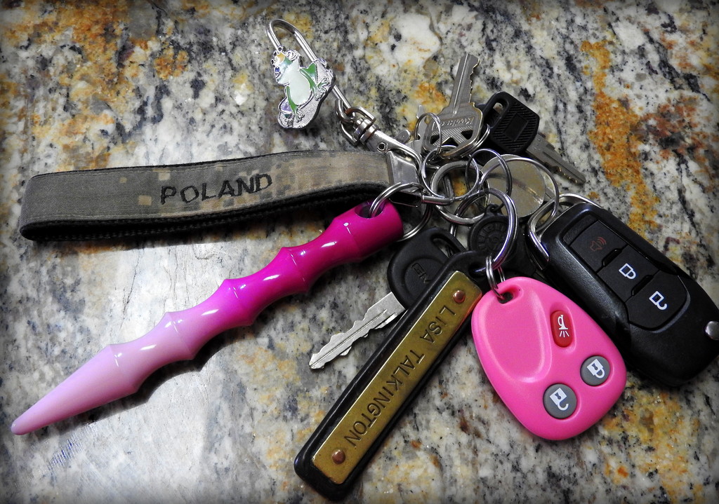 Guess whose keys these are? by homeschoolmom