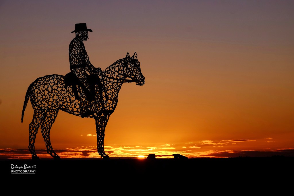 Outback Cowboy by dkbarnett