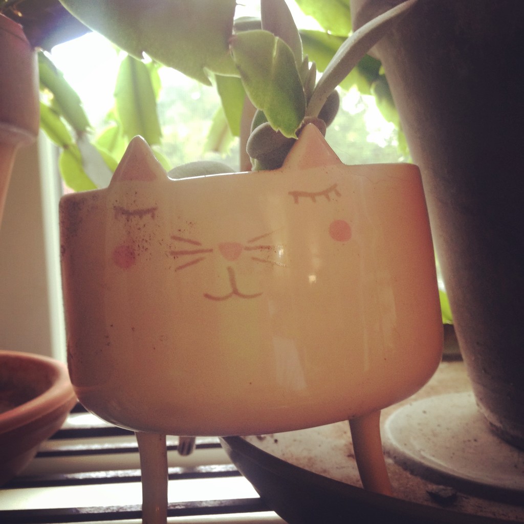 Cat planter by gratitudeyear
