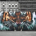 249/365 - Glasgow Street Art #6 - The Tiger by wag864