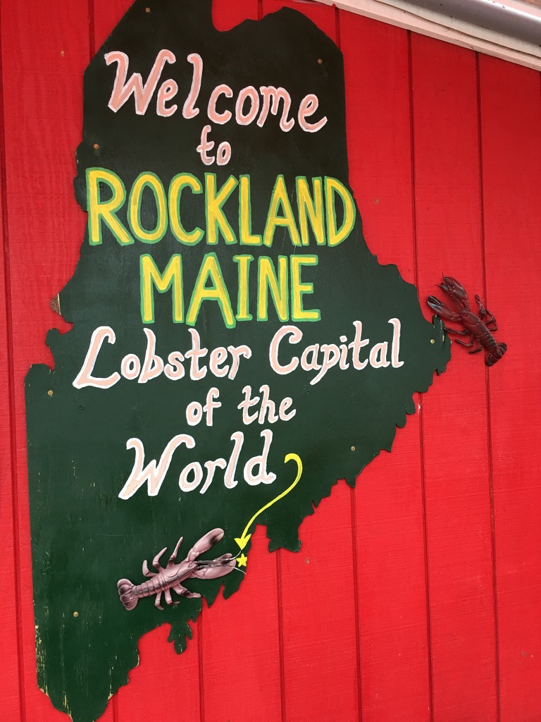 Lobster in Rockland Maine by clay88