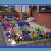 A colourful front garden. by grace55