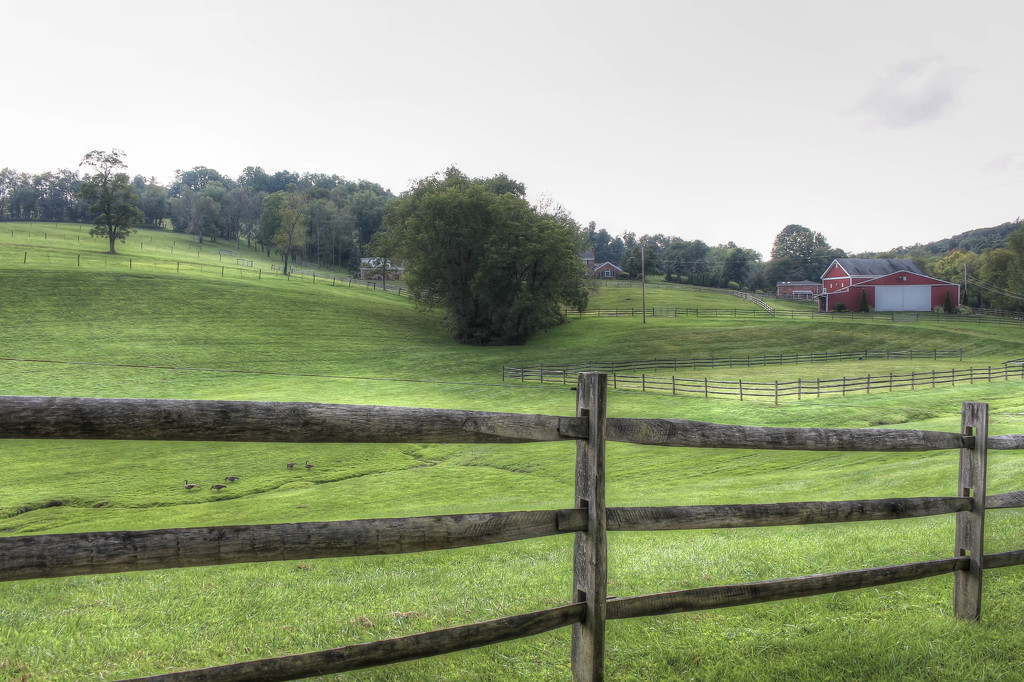 Pennsylvania farmland by mittens