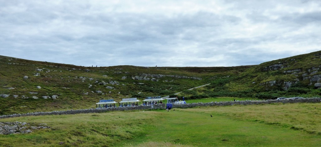The little train on Great Orme  by beryl