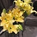 Sonata lilies  by kchuk
