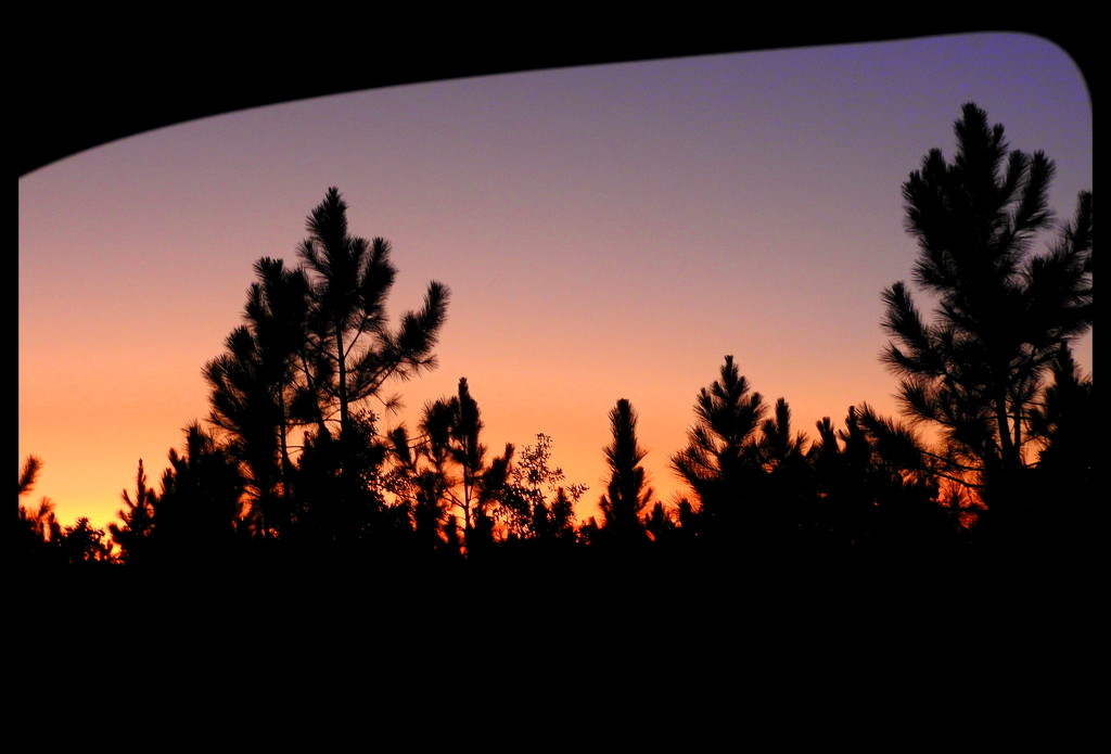 Sunset View by homeschoolmom