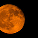 Orange Moon! by rickster549