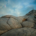 BRAIN ROCKS, WHITE POCKET, ARIZONA by pdulis