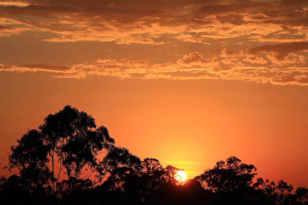 Sunrise on the Sunshine Coast  by kiwinanna