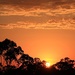 Sunrise on the Sunshine Coast  by kiwinanna