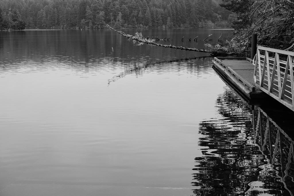 NF-SOOC-2017 Munsel Lake by jgpittenger