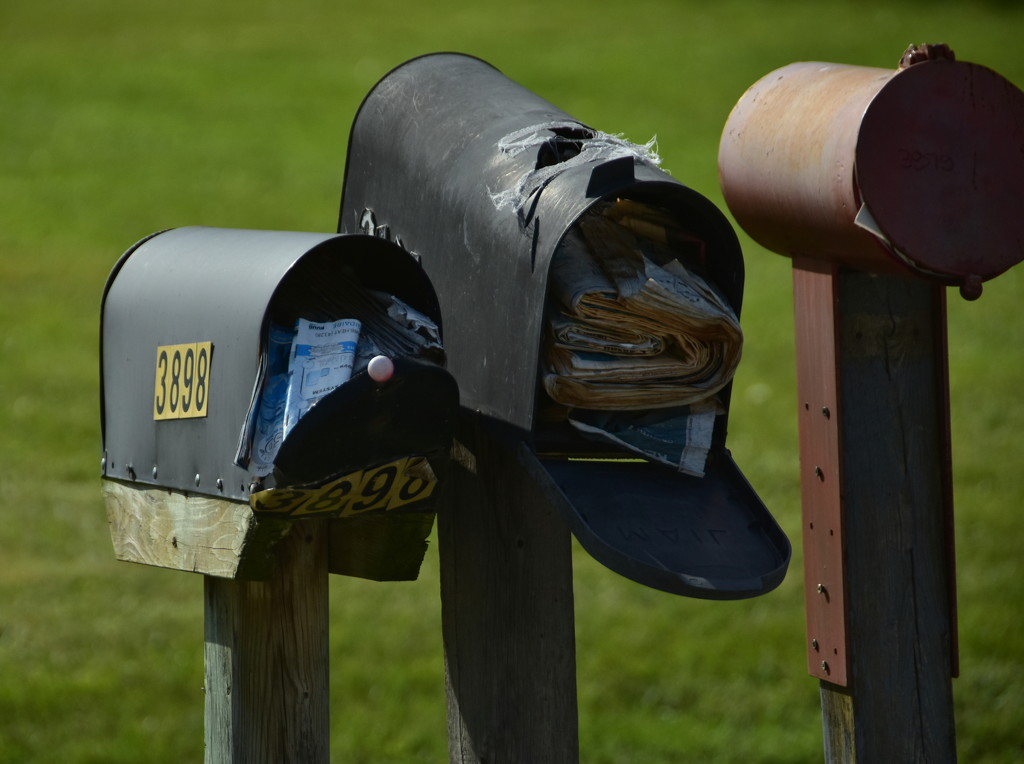 You Got Mail.... by jayberg