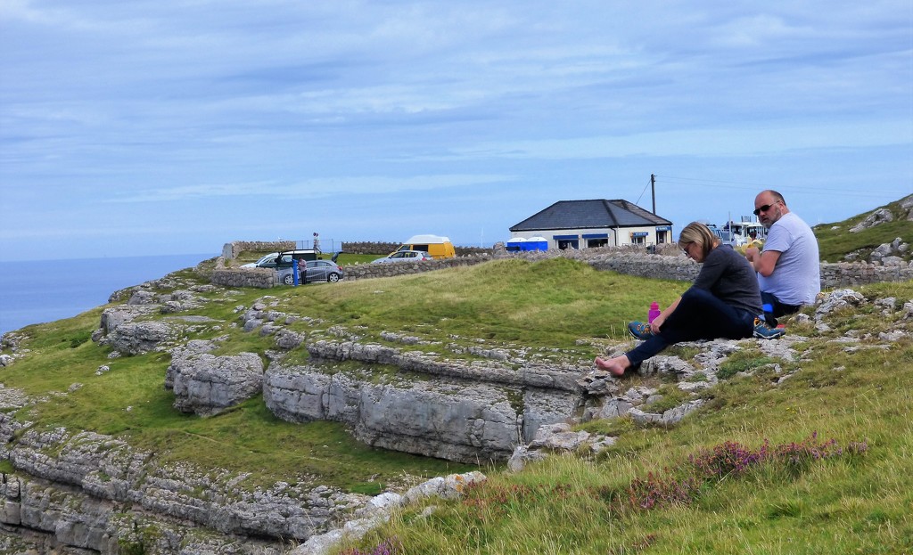 On the Great Orme .  by beryl