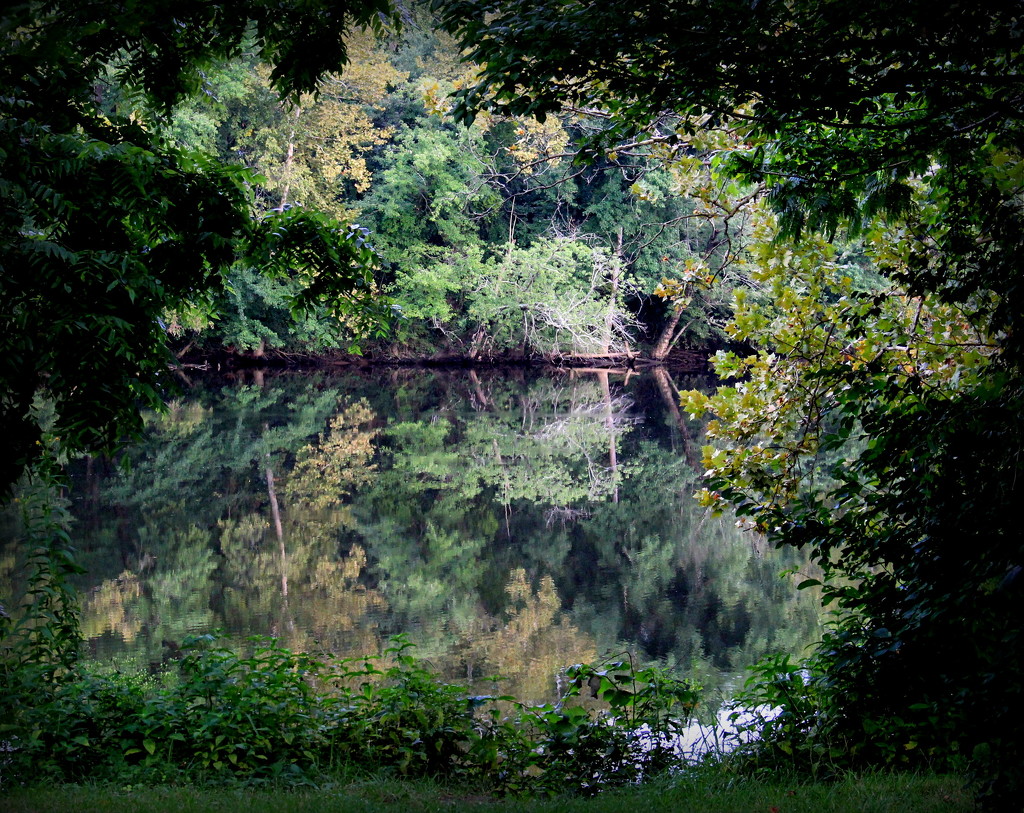 Late Summer Reflections by calm