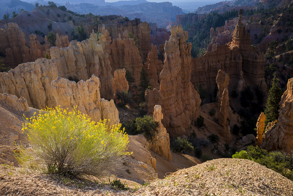 Fairyland Point Bryce Canyon by pdulis