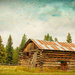 Old Log Building by 365karly1