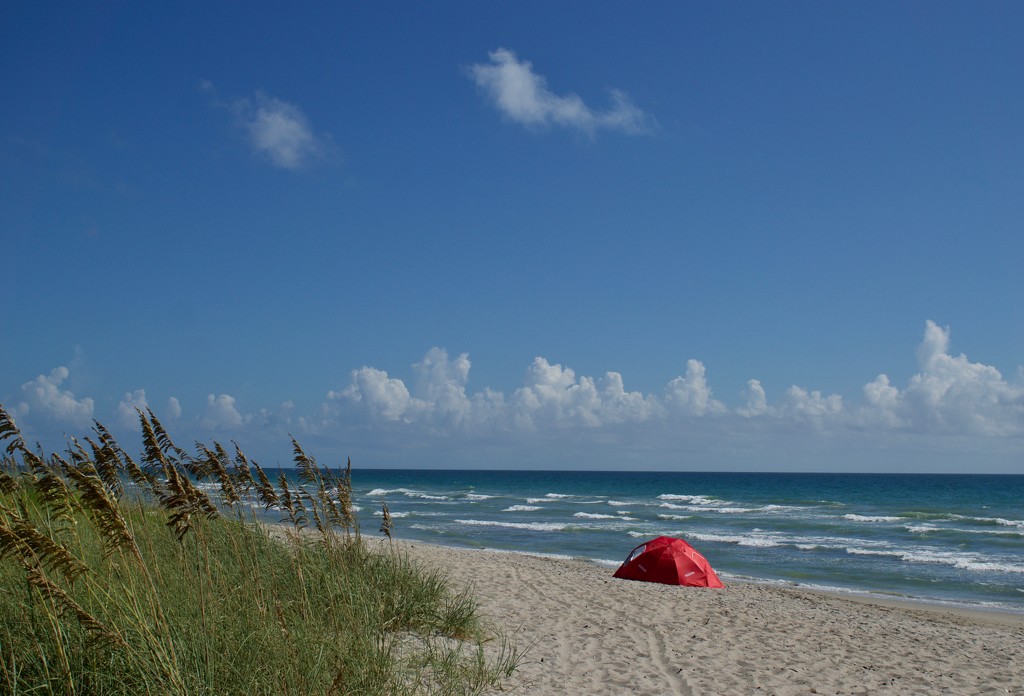 A Perfect Day at the Beach by eudora