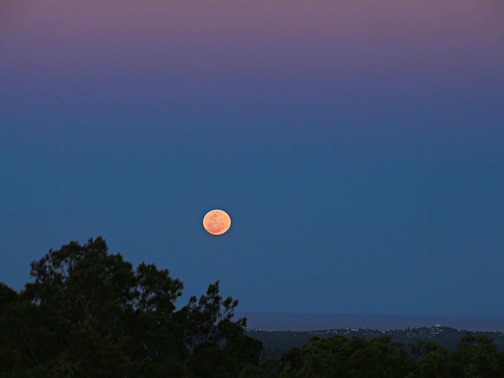 Full moon over Noosa by kiwinanna