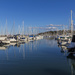 Manly Boat Harbour by corymbia