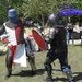 Knights in action by homeschoolmom