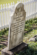 25th Jul 2017 - Eleanor Mary Nellies Grave