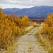 More Fall Pathways by jetr
