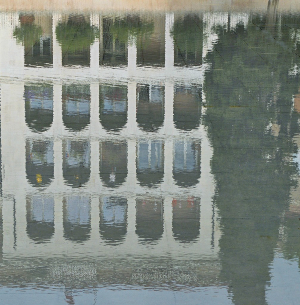 Reflections on a pond by caterina